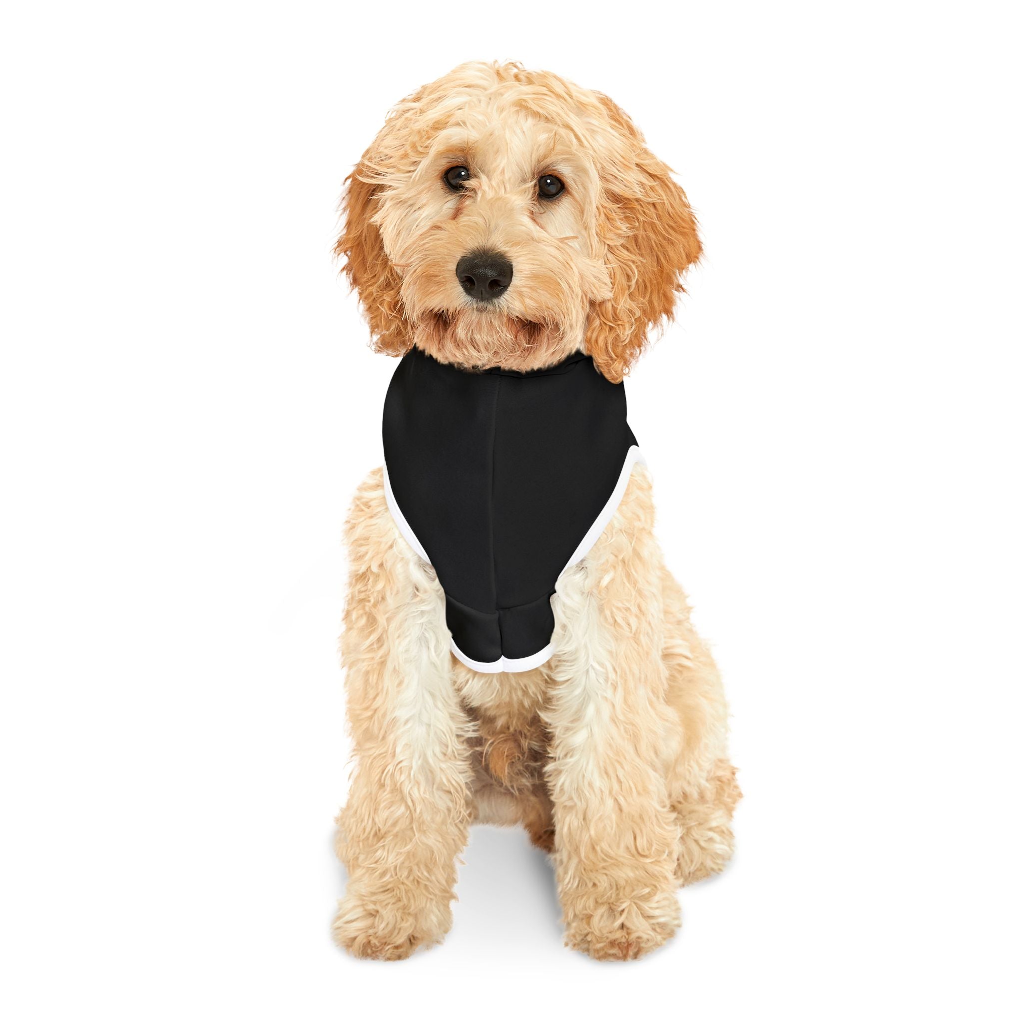 Jumpseat Ready Dog Hoodie